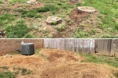 Raleigh-Stump-Grinding-Gallery-1