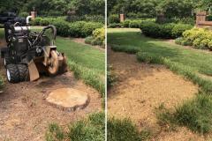 Raleigh-Stump-Grinding-Gallery-10