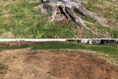 Raleigh-Stump-Grinding-Gallery-13