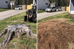 Raleigh-Stump-Grinding-Gallery-18