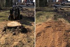 Raleigh-Stump-Grinding-Gallery-19