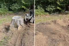 Raleigh-Stump-Grinding-Gallery-20