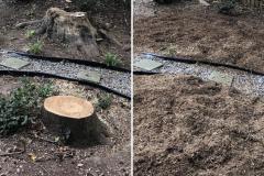 Raleigh-Stump-Grinding-Gallery-3