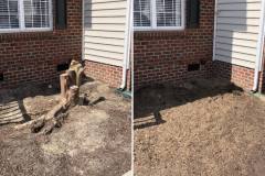 Raleigh-Stump-Grinding-Gallery-4