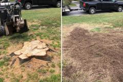 Raleigh-Stump-Grinding-Gallery-5