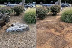 Raleigh-Stump-Grinding-Gallery-7